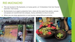 RIO MUCHACHO
 This site located in Rio Muchacho, on Canoa parish, at 14 kilometers from San Vicente
and 6 Km. from Canoa.
 Rio Muchacho is an organic production farm, where all the waste from plants, animals
and people are transformed into compost, humus and bioles to return to earth.
 Where you can enjoy agrotourism or rural tourism, doing different activities.
 