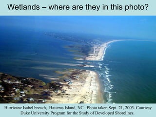 Wetlands – where are they in this photo? Hurricane Isabel breach, Hatteras Island, NC. Photo taken Sept. 21, 2003. Courtesy Duke University Program for the Study of Developed Shorelines.