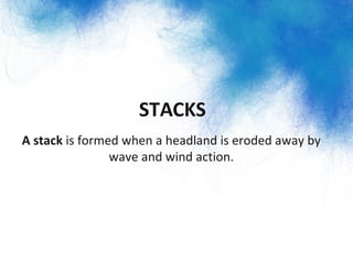 STACKS
A stack is formed when a headland is eroded away by
wave and wind action.
 
