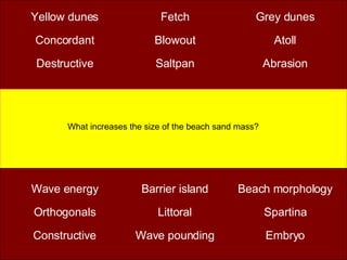 What increases the size of the beach sand mass? 