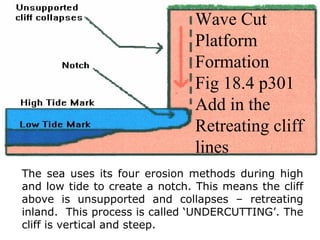 The sea uses its four erosion methods during high
and low tide to create a notch. This means the cliff
above is unsupported and collapses – retreating
inland. This process is called ‘UNDERCUTTING’. The
cliff is vertical and steep.
Wave Cut
Platform
Formation
Fig 18.4 p301
Add in the
Retreating cliff
lines
 