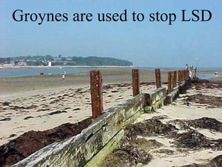 Groynes are used to stop LSD
 