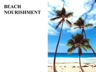 BEACH
NOURISHMENT
 