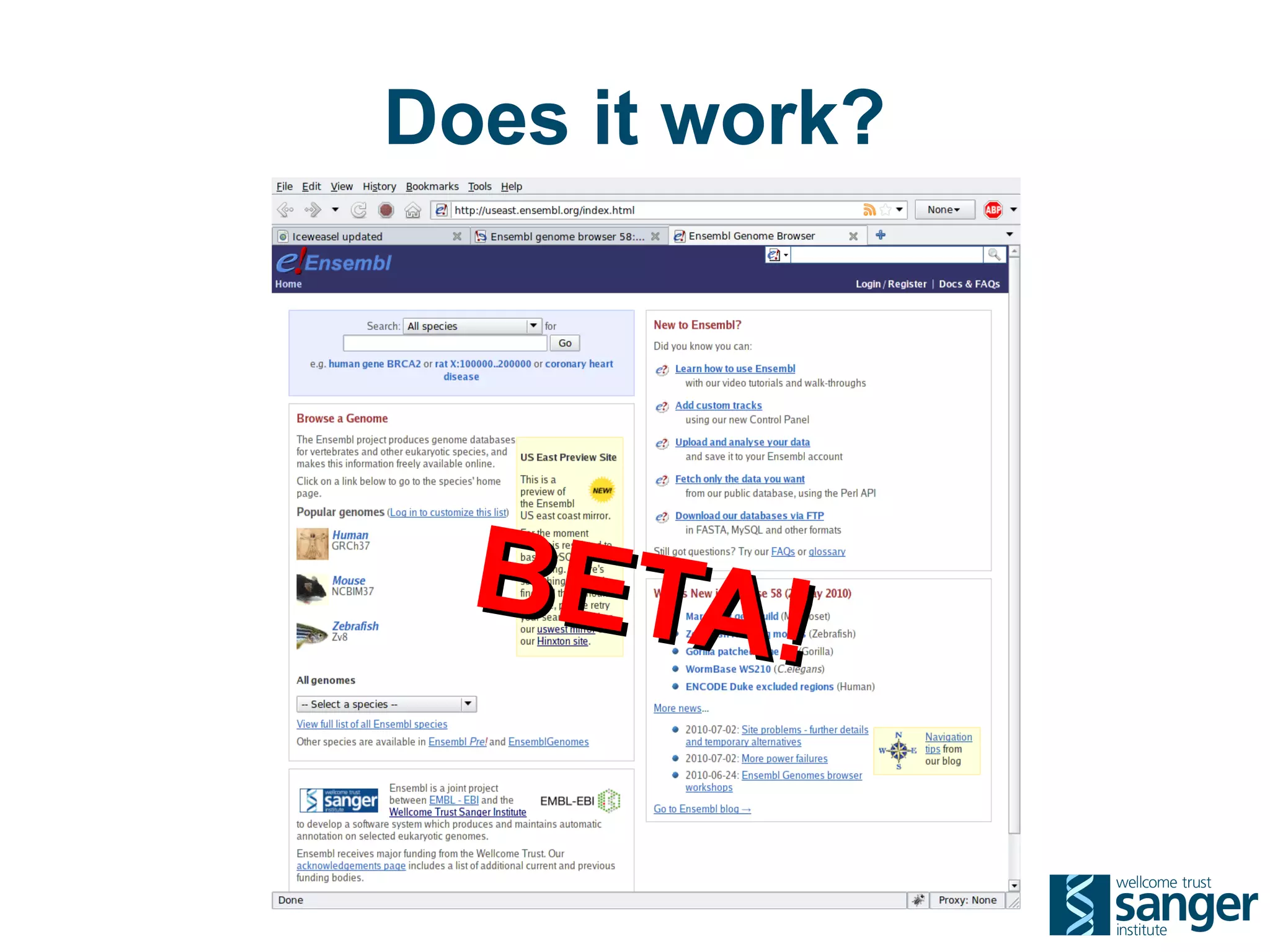 Does it work?




  BETA!
 