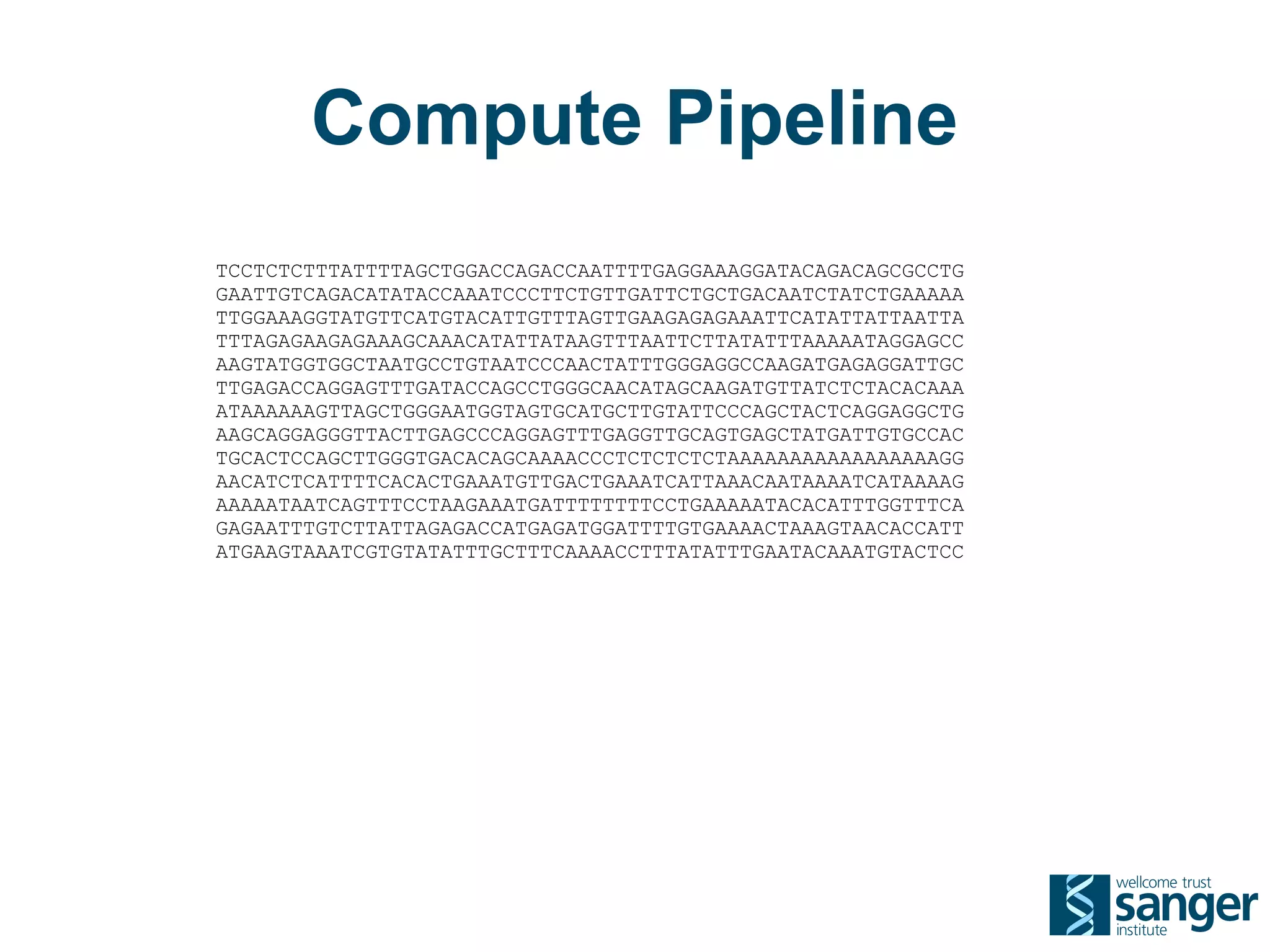 Compute Pipeline
TCCTCTCTTTATTTTAGCTGGACCAGACCAATTTTGAGGAAAGGATACAGACAGCGCCTG
GAATTGTCAGACATATACCAAATCCCTTCTGTTGATTCTGCTGACAATCTATCTGAAAAA
TTGGAAAGGTATGTTCATGTACATTGTTTAGTTGAAGAGAGAAATTCATATTATTAATTA
TTTAGAGAAGAGAAAGCAAACATATTATAAGTTTAATTCTTATATTTAAAAATAGGAGCC
AAGTATGGTGGCTAATGCCTGTAATCCCAACTATTTGGGAGGCCAAGATGAGAGGATTGC
TTGAGACCAGGAGTTTGATACCAGCCTGGGCAACATAGCAAGATGTTATCTCTACACAAA
ATAAAAAAGTTAGCTGGGAATGGTAGTGCATGCTTGTATTCCCAGCTACTCAGGAGGCTG
AAGCAGGAGGGTTACTTGAGCCCAGGAGTTTGAGGTTGCAGTGAGCTATGATTGTGCCAC
TGCACTCCAGCTTGGGTGACACAGCAAAACCCTCTCTCTCTAAAAAAAAAAAAAAAAAGG
AACATCTCATTTTCACACTGAAATGTTGACTGAAATCATTAAACAATAAAATCATAAAAG
AAAAATAATCAGTTTCCTAAGAAATGATTTTTTTTCCTGAAAAATACACATTTGGTTTCA
GAGAATTTGTCTTATTAGAGACCATGAGATGGATTTTGTGAAAACTAAAGTAACACCATT
ATGAAGTAAATCGTGTATATTTGCTTTCAAAACCTTTATATTTGAATACAAATGTACTCC
 