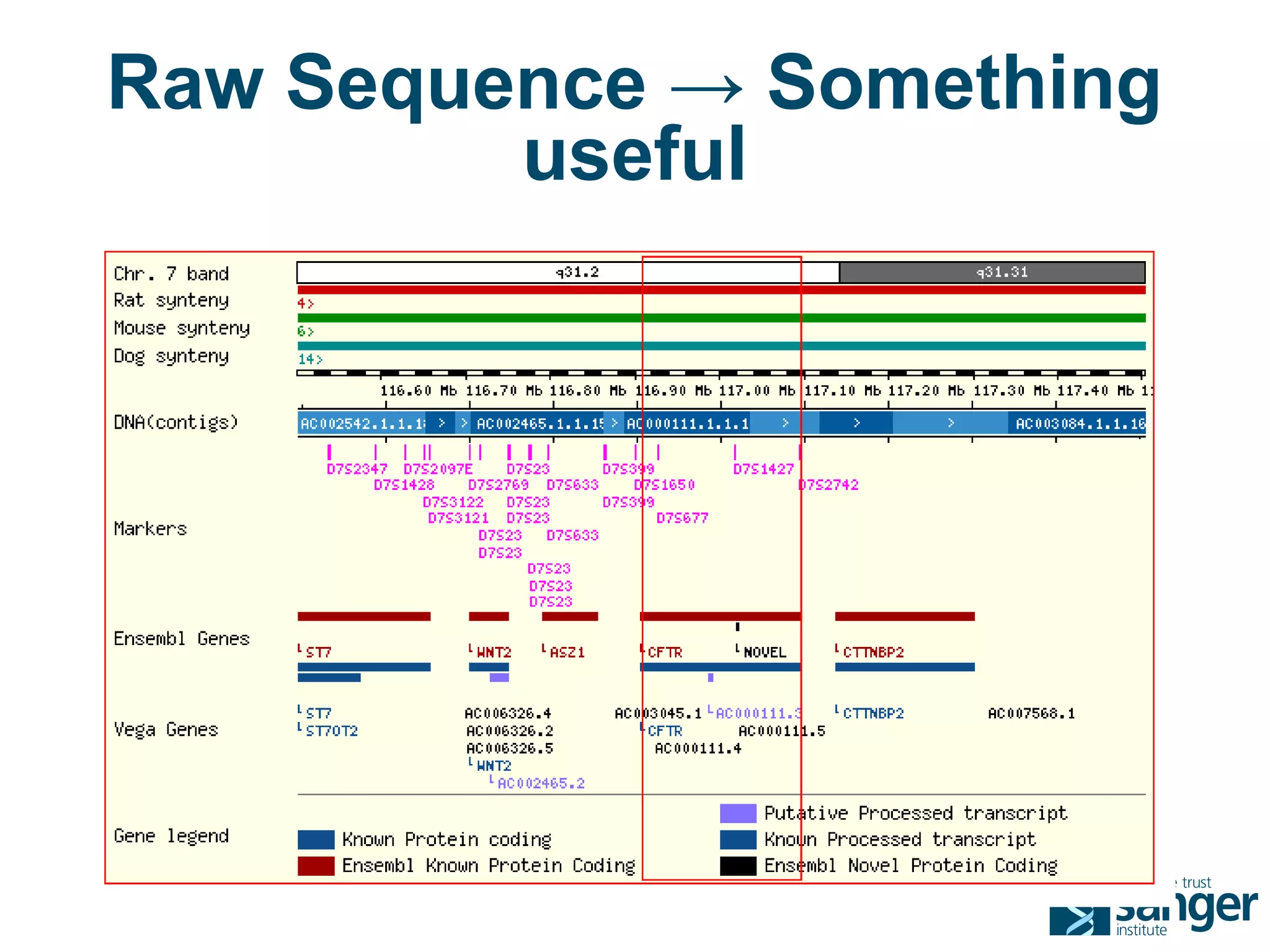 Raw Sequence → Something
         useful
 