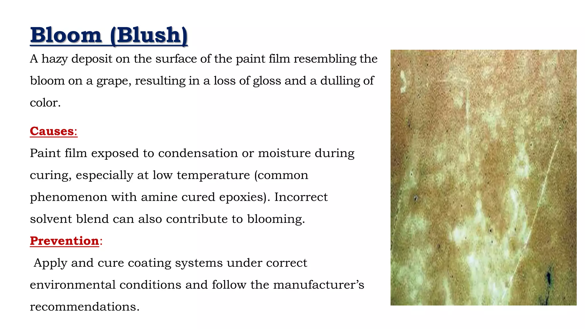 A hazy deposit on the surface of the paint film resembling the
bloom on a grape, resulting in a loss of gloss and a dulling of
color.
- Neil Armstrong
Causes:
Paint film exposed to condensation or moisture during
curing, especially at low temperature (common
phenomenon with amine cured epoxies). Incorrect
solvent blend can also contribute to blooming.
Prevention:
Apply and cure coating systems under correct
environmental conditions and follow the manufacturer’s
recommendations.
Bloom (Blush)
 