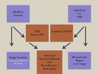 HLHS or 
Variants 
IAA/CoA 
+/- 
VSD 
Biventricular 
Repair 
1 or 2 stage 
Single Ventricle 
Norwood  BCPC 
 TCPC 
VSD 
Normal MV 
Complex LVOTO 
Yasui (or) 
Norwood/Rastelli 
(or) 
Ross/Konno + 
Arch repair 
 