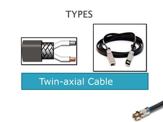 Twin-axial Cable
 
