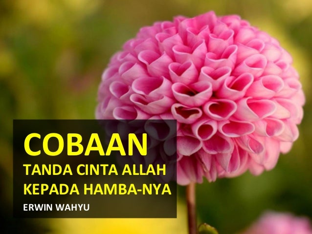 800 Gambar Cinta Allah Swt Paling Baru 800 Gambar Cinta Allah Swt Paling Baru