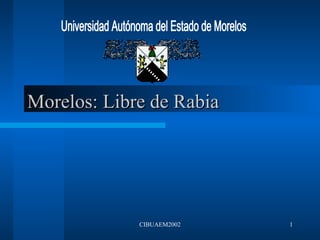 Morelos: Libre de Rabia




             CIBUAEM2002   1
 