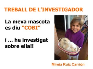 TREBALL DE L’INVESTIGADOR
La meva mascota
es diu “COBI”
i ... he investigat
sobre ella!!

Mireia Ruiz Carrión

 