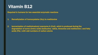 Cobalamin (vitamin b12) – Lippincott's Illustrated Reviews World Wide Web |  PPT