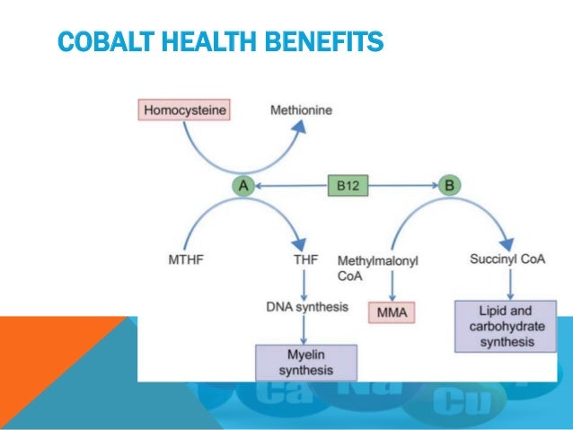 Foods Containing Cobalt Foods Containing Cobalt
