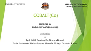 COBALT(Co)
PRESENTED BY
BIMELA CHRYSANTUS NJOBINKIR
1
UNIVERSITY OF BUEA REPUBLIC OF CAMEROON
PEACE – WORK – FATHERLAND
Coordinated
By
Prof. Achidi Aduni and Dr. Tiencheu Bernard
Senior Lecturers of Biochemistry and Molecular Biology, Faculty of Science
 