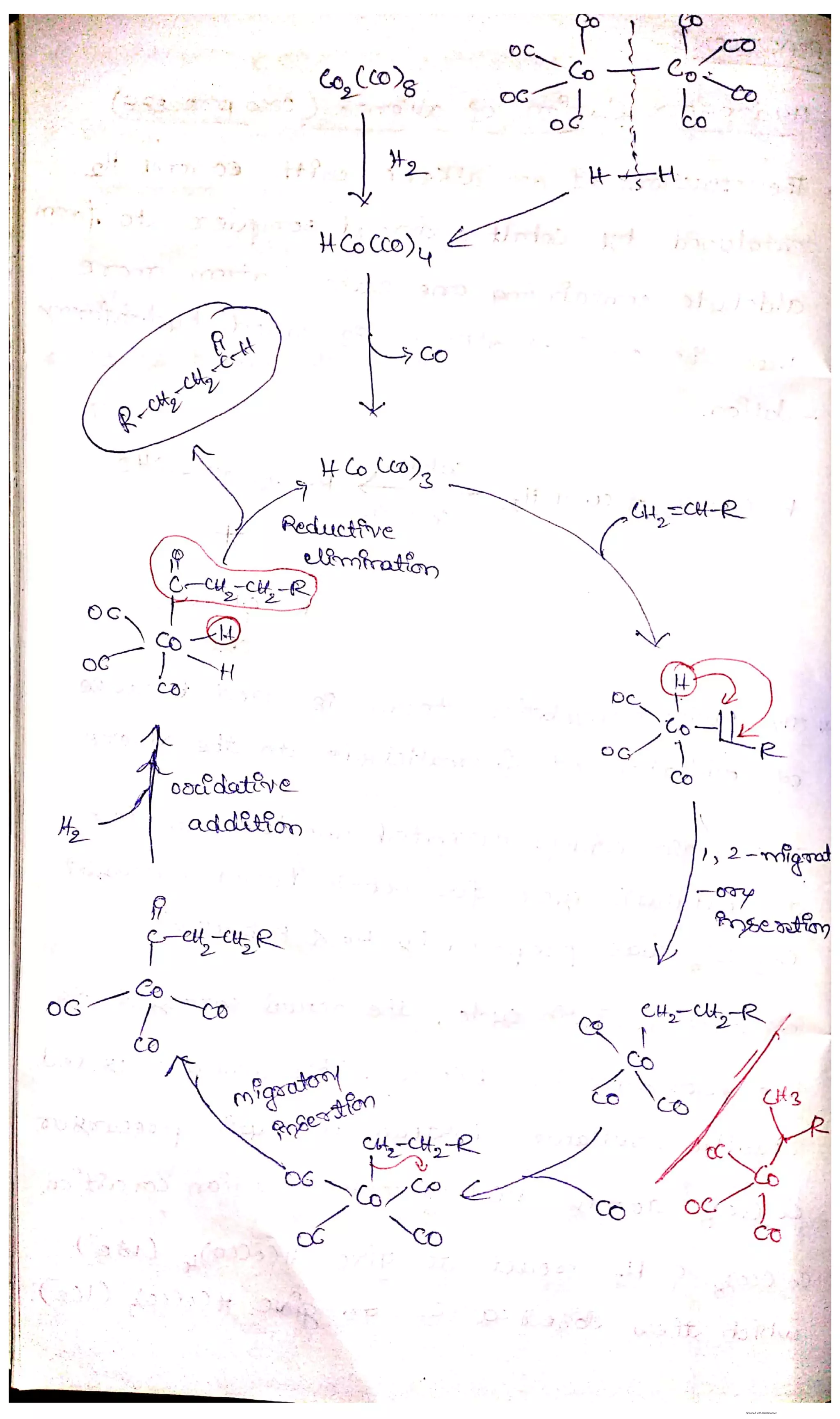 Cobalt complex use in insertion of CO