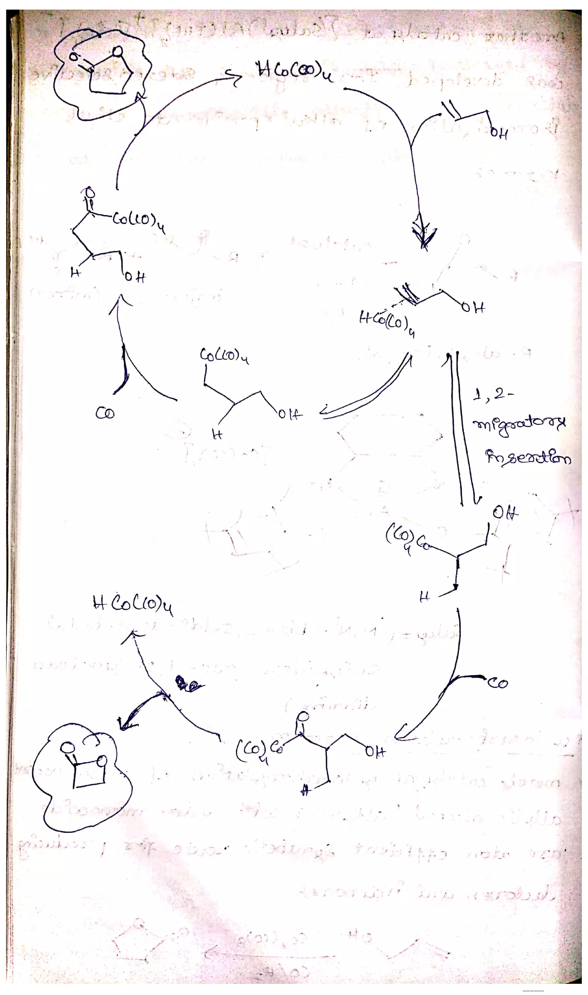 Cobalt complex use in insertion of CO