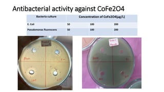 Antibacterial activity against CoFe2O4
Bacteria culture Concentration of CoFe2O4(µg/L)
E. Coli 50 100 200
Pseudomonas fluorescens 50 100 200
 