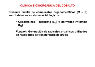 QUÍMICA BIOINORGÁNICA DEL COBALTO

•Presenta familia de compuestos organometálicos (M – C)
poco habituales en sistemas biológicos:

     * Cobalaminas (coenzima B12) y derivados (vitamina
       B12)

     Función: Generación de radicales orgánicos utilizados
     en reacciones de transferencia de grupo
 