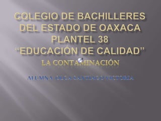 Colegio de bachilleres del estado de Oaxaca plantel 38 “educación de calidad” La contaminación Alumna: Olga Santiago victoria  