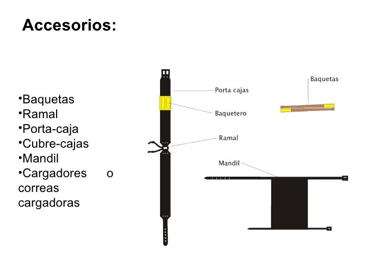 Partes De La Baqueta Cobaqroobanda