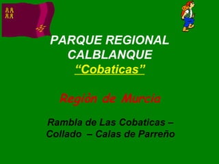 PARQUE REGIONAL CALBLANQUE “Cobaticas” Regiòn de Murcia Rambla de Las Cobaticas – Collado  – Calas de Parreño 