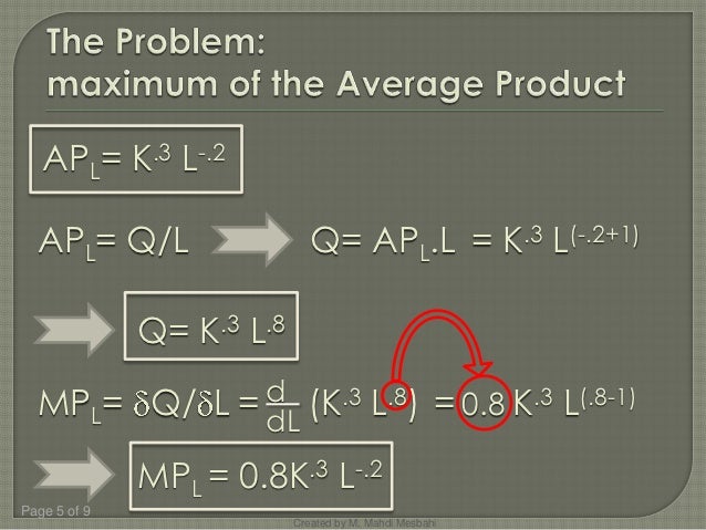 Cobb Douglas Production Function