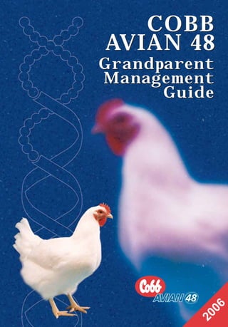 COBB
AVIAN 48
Grandparent
Management
Guide
COBB
AVIAN 48
Grandparent
Management
Guide
2
0
0
6
OK.Avian 48 GP 1/6P 1/19/06 3:20 PM Page 1
 