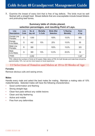 7. Examine the breast of every bird that is free of leg defects. The birds must be well
fleshed with a straight keel. Breast defects that are unacceptable include breast blisters
and protruding keel bones.
Summary table of chicks placed,
selection percentages, and resulting Point of Lays.
2.2 Selection of Females and Males at 19 to 22 Weeks of Age
Females
Remove obvious culls and sexing errors.
Males
Handle every male and select the best males for mating. Maintain a mating ratio of 10%
males/females. Selected males will have the following characteristics:
• Good conformation and fleshing
• Strong straight legs
• Clean foot pads without any visible lesions
• Clean and tidy feathering
• Active and mobile
• Free from any deformities
Cobb Avian 48 Grandparent Management Guide
COBB AVIAN 48 7
Line
Descriptions
Line
Code
No. at
day old
Mortality
% Culls
Birds After
Selection
Point
of lay
% Rearing
Mortality
*POL reflects the numbers of birds at 24 weeks. Male ratios at POL for both female and male lines should be
approximately 10%, but can be more based on local experience.
Female Line
Females
Female
Line Males
Male Line
Females
Male
Line Males
Totals
B
O
R
G
1,000
442
380
380
2,202
10%
10%
100%
25%
100%
12.5%
10.0%
10.0%
15.0%
20.0%
900
90
323
34
1,347
OK.Avian 48 GP 1/6P 1/19/06 3:20 PM Page 11
 