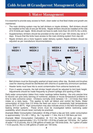Cobb Avian 48 Grandparent Management Guide
COBB AVIAN 48
8
3. Water Management
It is essential to provide easy access to fresh, clean water so that feed intake and growth are
maintained.
• The main drinking system may be bell drinkers or nipple drinkers. Bell drinkers should
be installed at the rate of one per 80 birds. Nipple drinkers should be installed at the rate
of 8-10 birds per nipple. Birds should not have to walk more than 3m (9.8 ft.) for a drink.
• Supplementary drinkers should be provided at the rate of 2 per 100 chicks day old to 7
days. Ensure that the birds have access to the main drinking system from day-old.
• Nipple drinkers are a more hygienic water delivery system. Nipple drinkers should be
adjusted as per manufacture recommendations.
• Bell drinkers must be thoroughly washed at least every other day. Buckets and brushes
used for cleaning should be disinfected with chlorine or quaternary ammonium sanitizer.
• Header tanks must have lids to avoid contamination from airborne bacteria etc.
• From 4 weeks onwards, the bell drinker height should be adjusted to bird back height.
Adjustments should be made frequently to prevent spillage and spoiling of litter.
Daily water consumption (taken from meter readings before feeding - the only precise time
to record) can give early warning of nutritional, disease or house temperature problems in
time to take corrective action. Chickens normally drink between 1.6 – 2.0 times their feed
intake on a daily basis. This applies to both ad libitum and control fed flocks. Water
consumption of more than 2.0 times the feed can occur in excessively high temperatures
(above 30°C or 86°F). High consumption may also indicate errors in the feed formulation or
leaking drinker systems. These errors must be investigated before restricting water
availability, which should never normally be practiced.
Example Water Consumption Calculation: At 60g of feed a day per bird, water consumption
is approximately 1.8 x 60 = 108 g. As 1 kg water = 1 litre, this is 0.108 liters per bird.
Example Water Consumption Calculation: At 13.2 lbs feed/100 birds per day, water
consumption is approximately 1.8 x 13.2 lb/100 = 23.8 lbs of water per 100 birds. As 1 gallon
of water = 8.33 pounds, this is 2.86 gallons of water per 100 birds.birds. As 1 gallon of water
= 8.33 pounds, this is 2.86 gallons of water per 100 birds.
DAY 1
WEEK 1
WEEK 1
WEEK 2
WEEK 2
WEEK 4
WEEK 4
& OLDER
Column
Pressure
or more
4in/10cm
Column
Pressure
6in/15cm
2in/5cm
Column
Pressure
4in/10cm
2in/5cm
Column
Pressure
2in/5cm
1in/2.5cm
OK.Avian 48 GP 1/6P 1/19/06 3:20 PM Page 12
 