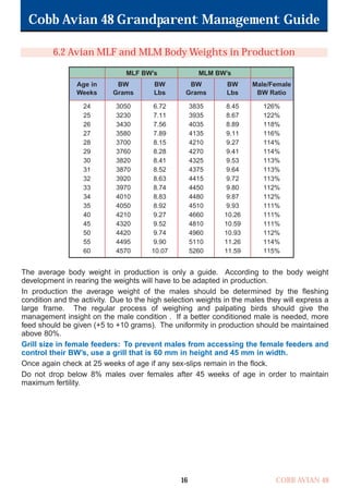 Cobb Avian 48 Grandparent Management Guide
COBB AVIAN 48
16
6.2 Avian MLF and MLM Body Weights in Production
24
25
26
27
28
29
30
31
32
33
34
35
40
45
50
55
60
3050
3230
3430
3580
3700
3760
3820
3870
3920
3970
4010
4050
4210
4320
4420
4495
4570
6.72
7.11
7.56
7.89
8.15
8.28
8.41
8.52
8.63
8.74
8.83
8.92
9.27
9.52
9.74
9.90
10.07
Age in
Weeks
MLF BW’s MLM BW’s
BW
Grams
BW
Lbs
BW
Grams
BW
Lbs
Male/Female
BW Ratio
The average body weight in production is only a guide. According to the body weight
development in rearing the weights will have to be adapted in production.
In production the average weight of the males should be determined by the fleshing
condition and the activity. Due to the high selection weights in the males they will express a
large frame. The regular process of weighing and palpating birds should give the
management insight on the male condition . If a better conditioned male is needed, more
feed should be given (+5 to +10 grams). The uniformity in production should be maintained
above 80%.
Grill size in female feeders: To prevent males from accessing the female feeders and
control their BW’s, use a grill that is 60 mm in height and 45 mm in width.
Once again check at 25 weeks of age if any sex-slips remain in the flock.
Do not drop below 8% males over females after 45 weeks of age in order to maintain
maximum fertility.
126%
122%
118%
116%
114%
114%
113%
113%
113%
112%
112%
111%
111%
111%
112%
114%
115%
3835
3935
4035
4135
4210
4270
4325
4375
4415
4450
4480
4510
4660
4810
4960
5110
5260
8.45
8.67
8.89
9.11
9.27
9.41
9.53
9.64
9.72
9.80
9.87
9.93
10.26
10.59
10.93
11.26
11.59
OK.Avian 48 GP 1/6P 1/19/06 3:20 PM Page 20
 