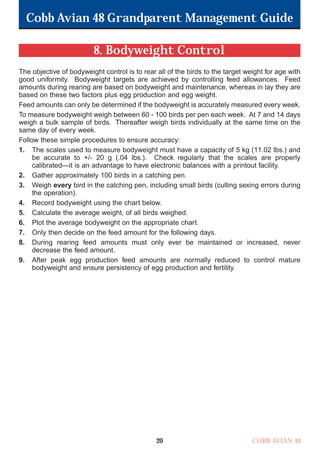 Cobb Avian 48 Grandparent Management Guide
COBB AVIAN 48
20
8. Bodyweight Control
The objective of bodyweight control is to rear all of the birds to the target weight for age with
good uniformity. Bodyweight targets are achieved by controlling feed allowances. Feed
amounts during rearing are based on bodyweight and maintenance, whereas in lay they are
based on these two factors plus egg production and egg weight.
Feed amounts can only be determined if the bodyweight is accurately measured every week.
To measure bodyweight weigh between 60 - 100 birds per pen each week. At 7 and 14 days
weigh a bulk sample of birds. Thereafter weigh birds individually at the same time on the
same day of every week.
Follow these simple procedures to ensure accuracy:
1. The scales used to measure bodyweight must have a capacity of 5 kg (11.02 lbs.) and
be accurate to +/- 20 g (.04 lbs.). Check regularly that the scales are properly
calibrated—it is an advantage to have electronic balances with a printout facility.
2. Gather approximately 100 birds in a catching pen.
3. Weigh every bird in the catching pen, including small birds (culling sexing errors during
the operation).
4. Record bodyweight using the chart below.
5. Calculate the average weight, of all birds weighed.
6. Plot the average bodyweight on the appropriate chart.
7. Only then decide on the feed amount for the following days.
8. During rearing feed amounts must only ever be maintained or increased, never
decrease the feed amount.
9. After peak egg production feed amounts are normally reduced to control mature
bodyweight and ensure persistency of egg production and fertility.
OK.Avian 48 GP 1/6P 1/19/06 3:20 PM Page 24
 