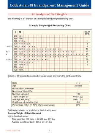 Cobb Avian 48 Grandparent Management Guide
COBB AVIAN 48 21
8.1 Analysis of Bird Weights
The following is an example of a completed bodyweight recording chart.
Example Bodyweight Recording Chart
Select '00 closest to expected average weight and mark the card accordingly.
Bodyweight should be analyzed in the following way.
Average Weight of Birds Sampled
Using the chart above:
Total weight of 100 birds = 59,500 g or 131 lbs.
Average weight per bird = 595 g or 1.31 lbs.
Date __/__/__
Age 35 days
House / Pen reference -
Number of birds / Pen -
Number sampled 100
Target weight (g) 600 (1.32)
Average weight (g) 595 (1.31)
Coefficient of variation (cv) 6.0
Percentage within +/- 10% of average weight 90%
-10%->
Av.->
+10%->
g lb
460 1.01
480 1.06
500 1.10 x 1
520 1.15 x x x 3
540 1.19 x x x x x 5
560 1.23 x x x x x x x x x x x x x x x 15
580 1.28 x x x x x x x x x x x x x x x x x x x x 20
600 1.32 x x x x x x x x x x x x x x x x x x x x x x x 23
620 1.37 x x x x x x x x x x x x x x x x x 17
640 1.41 x x x x x x x x x x 10
660 1.46 x x x x 4
680 1.50 x x 2
No. of
Birds
700 1.54
720 1.59
OK.Avian 48 GP 1/6P 1/19/06 3:20 PM Page 25
 