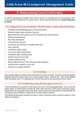 Cobb Avian 48 Grandparent Management Guide
COBB AVIAN 48 23
9. Maintaining Good Uniformity
A uniform grandparent breeder flock will be easier to manage and so will produce more
chicks per hen housed than an uneven flock. Good uniformity results from careful attention
to detail.
9.1 Common Factors Leading to Bodyweight Uniformity Problems
• Presence of formaldehyde gas at chick placement
• Mixing of parent age sources at day old
• Beak trimming if not carried out to an exceptionally high standard
• Extreme temperatures
• Poor feed distribution
• Incorrect feed amounts
• Incorrectly ground food or variable pellet size
• Over stocking
• Insufficient water supply
• Low or too high energy feeds
• Insufficient light at feeding time
• Feeder trough set too high
• Irregular feeding times
• Mixing different lines in the same pen after selection
• Incorrect bird numbers or pen drift
• Disease or parasitic infection
9.2 Grading
Size grading helps to maintain flock uniformity if it is done correctly. Females should be graded
between 28 and 35 days; there is no need to grade males. Remove 20 - 25% of the lightest
birds and place them in a separate pen, where they can be fed according to their needs.
9.3 Troubleshooting Bodyweight Control
There will always be occasions when flocks are not on the bodyweight target. Any corrective
action taken on these flocks should be done with long term rather than short-term goals.
Adjustments to the growth rate of the flock must ensure that the pullets will still achieve the
necessary body condition to allow them to reach sexual maturity.
The following examples illustrate the way in which corrective action should be taken in four
different situations:
OK.Avian 48 GP 1/6P 1/19/06 3:20 PM Page 27
 