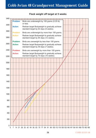 Cobb Avian 48 Grandparent Management Guide
COBB AVIAN 48
24
Flock weight off target at 5 weeks
Problem Birds are underweight by 100 grams (0.25 lb)
or less.
Action Redraw target Bodyweight to gradually achieve
standard target by 63 days (9 weeks).
Problem Birds are underweight by more than 100 grams.
Action Redraw target Bodyweight to gradually achieve
standard target by 84 days (12 weeks).
Problem Birds are overweight by less than 100 grams.
Action Redraw target Bodyweight to gradually achieve
standard target by 49 days (7 weeks).
Problem Birds are overweight by more than 100 grams.
Action Redraw target Bodyweight to gradually achieve
standard target by 70 days (10 weeks).
OK.Avian 48 GP 1/6P 1/19/06 3:20 PM Page 28
 