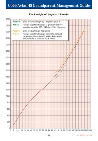 Cobb Avian 48 Grandparent Management Guide
COBB AVIAN 48
26
Flock weight off target at 15 weeks
Problem Birds are underweight by 100 grams (0.25 lb).
Action Redraw target Bodyweight to gradually achieve
standard target by 133 - 140 days (19 - 20 weeks).
Problem Birds are overweight 100 grams.
Action Redraw target Bodyweight parallel to standard
targets weights through 22 weeks. Bodyweight
should return to standard by 26 weeks.
OK.Avian 48 GP 1/6P 1/19/06 3:20 PM Page 30
 