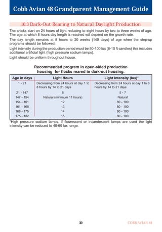 Cobb Avian 48 Grandparent Management Guide
COBB AVIAN 48
30
10.3 Dark-Out Rearing to Natural Daylight Production
The chicks start on 24 hours of light reducing to eight hours by two to three weeks of age.
The age at which 8 hours day length is reached will depend on the growth rate.
The day length remains at 8 hours to 20 weeks (140 days) of age when the step-up
programs should be followed.
Light intensity during the production period must be 80-100 lux (8-10 ft candles) this includes
additional artificial light (high pressure sodium lamps).
Light should be uniform throughout house.
Recommended program in open-sided production
housing for flocks reared in dark-out housing.
*High pressure sodium lamps. If flourescent or incandescent lamps are used the light
intensity can be reduced to 40-60 lux range.
Age in days
1 - 21
21 - 147
147 - 154
154 - 161
161 - 168
168 - 175
175 - 182
8
Natural (minimum 11 hours)
12
13
14
15
5 - 7
Natural
80 - 100
80 - 100
80 - 100
80 - 100
Decreasing from 24 hours at day 1 to
8 hours by 14 to 21 days
Decreasing from 24 hours at day 1 to 8
hours by 14 to 21 days
Light Hours Light Intensity (lux)*
OK.Avian 48 GP 1/6P 1/19/06 3:20 PM Page 34
 