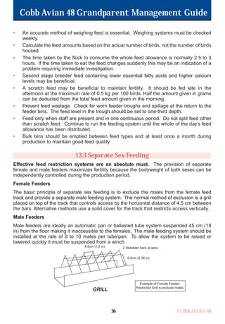 Cobb Avian 48 Grandparent Management Guide
COBB AVIAN 48
36
• An accurate method of weighing feed is essential. Weighing systems must be checked
weekly.
• Calculate the feed amounts based on the actual number of birds, not the number of birds
housed.
• The time taken by the flock to consume the whole feed allowance is normally 2.5 to 3
hours. If the time taken to eat the feed changes suddenly this may be an indication of a
problem requiring immediate investigation.
• Second stage breeder feed containing lower essential fatty acids and higher calcium
levels may be beneficial.
• A scratch feed may be beneficial to maintain fertility. It should be fed late in the
afternoon at the maximum rate of 0.5 kg per 100 birds. Half the amount given in grams
can be deducted from the total feed amount given in the morning.
• Prevent feed wastage. Check for worn feeder troughs and spillage at the return to the
feeder bins. The feed level in the trough should be set to one-third depth.
• Feed only when staff are present and in one continuous period. Do not split feed other
than scratch feed. Continue to run the feeding system until the whole of the day’s feed
allowance has been distributed.
• Bulk bins should be emptied between feed types and at least once a month during
production to maintain good feed quality.
13.3 Separate Sex Feeding
Effective feed restriction systems are an absolute must. The provision of separate
female and male feeders maximizes fertility because the bodyweight of both sexes can be
independently controlled during the production period.
Female Feeders
The basic principle of separate sex feeding is to exclude the males from the female feed
track and provide a separate male feeding system. The normal method of exclusion is a grill
placed on top of the track that controls access by the horizontal distance of 4.5 cm between
the bars. Alternative methods use a solid cover for the track that restricts access vertically.
Male Feeders
Male feeders are ideally an automatic pan or ballasted tube system suspended 45 cm (18
in) from the floor making it inaccessible to the females. The male feeding system should be
installed at the rate of 8 to 10 males per tube/pan. To allow the system to be raised or
lowered quickly it must be suspended from a winch.
GRILL
4.5cm (1.8 in) 2 Stabilizer bars at apex
Example of Female Feeder-
Restricted Grill to exclude males.
6.0cm (2.36 in)
OK.Avian 48 GP 1/6P 1/19/06 3:20 PM Page 40
 