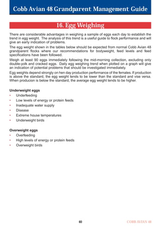 Cobb Avian 48 Grandparent Management Guide
COBB AVIAN 48
40
16. Egg Weighing
There are considerable advantages in weighing a sample of eggs each day to establish the
trend in egg weight. The analysis of this trend is a useful guide to flock performance and will
give an early indication of problems.
The egg weight shown in the tables below should be expected from normal Cobb Avian 48
grandparent flocks where our recommendations for bodyweight, feed levels and feed
specifications have been followed.
Weigh at least 90 eggs immediately following the mid-morning collection, excluding only
double-yolk and cracked eggs. Daily egg weighing trend when plotted on a graph will give
an indication of potential problems that should be investigated immediately.
Egg weights depend strongly on hen day production performance of the females. If production
is above the standard, the egg weight tends to be lower than the standard and vise versa.
When producion is below the standard, the average egg weight tends to be higher.
Underweight eggs
• Underfeeding
• Low levels of energy or protein feeds
• Inadequate water supply
• Disease
• Extreme house temperatures
• Underweight birds
Overweight eggs
• Overfeeding
• High levels of energy or protein feeds
• Overweight birds
OK.Avian 48 GP 1/6P 1/19/06 3:20 PM Page 44
 