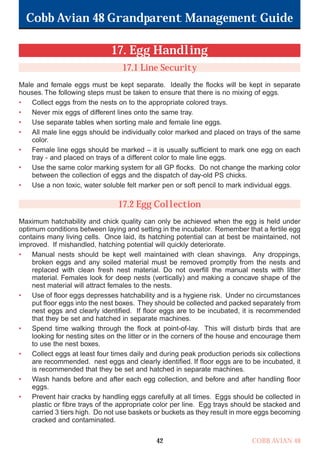 Cobb Avian 48 Grandparent Management Guide
42 COBB AVIAN 48
17. Egg Handling
17.1 Line Security
Male and female eggs must be kept separate. Ideally the flocks will be kept in separate
houses. The following steps must be taken to ensure that there is no mixing of eggs.
• Collect eggs from the nests on to the appropriate colored trays.
• Never mix eggs of different lines onto the same tray.
• Use separate tables when sorting male and female line eggs.
• All male line eggs should be individually color marked and placed on trays of the same
color.
• Female line eggs should be marked – it is usually sufficient to mark one egg on each
tray - and placed on trays of a different color to male line eggs.
• Use the same color marking system for all GP flocks. Do not change the marking color
between the collection of eggs and the dispatch of day-old PS chicks.
• Use a non toxic, water soluble felt marker pen or soft pencil to mark individual eggs.
17.2 Egg Collection
Maximum hatchability and chick quality can only be achieved when the egg is held under
optimum conditions between laying and setting in the incubator. Remember that a fertile egg
contains many living cells. Once laid, its hatching potential can at best be maintained, not
improved. If mishandled, hatching potential will quickly deteriorate.
• Manual nests should be kept well maintained with clean shavings. Any droppings,
broken eggs and any soiled material must be removed promptly from the nests and
replaced with clean fresh nest material. Do not overfill the manual nests with litter
material. Females look for deep nests (vertically) and making a concave shape of the
nest material will attract females to the nests.
• Use of floor eggs depresses hatchability and is a hygiene risk. Under no circumstances
put floor eggs into the nest boxes. They should be collected and packed separately from
nest eggs and clearly identified. If floor eggs are to be incubated, it is recommended
that they be set and hatched in separate machines.
• Spend time walking through the flock at point-of-lay. This will disturb birds that are
looking for nesting sites on the litter or in the corners of the house and encourage them
to use the nest boxes.
• Collect eggs at least four times daily and during peak production periods six collections
are recommended. nest eggs and clearly identified. If floor eggs are to be incubated, it
is recommended that they be set and hatched in separate machines.
• Wash hands before and after each egg collection, and before and after handling floor
eggs.
• Prevent hair cracks by handling eggs carefully at all times. Eggs should be collected in
plastic or fibre trays of the appropriate color per line. Egg trays should be stacked and
carried 3 tiers high. Do not use baskets or buckets as they result in more eggs becoming
cracked and contaminated.
OK.Avian 48 GP 1/6P 1/19/06 3:20 PM Page 46
 