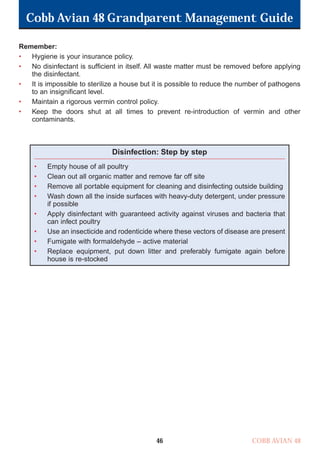Cobb Avian 48 Grandparent Management Guide
COBB AVIAN 48
46
Remember:
• Hygiene is your insurance policy.
• No disinfectant is sufficient in itself. All waste matter must be removed before applying
the disinfectant.
• It is impossible to sterilize a house but it is possible to reduce the number of pathogens
to an insignificant level.
• Maintain a rigorous vermin control policy.
• Keep the doors shut at all times to prevent re-introduction of vermin and other
contaminants.
Disinfection: Step by step
• Empty house of all poultry
• Clean out all organic matter and remove far off site
• Remove all portable equipment for cleaning and disinfecting outside building
• Wash down all the inside surfaces with heavy-duty detergent, under pressure
if possible
• Apply disinfectant with guaranteed activity against viruses and bacteria that
can infect poultry
• Use an insecticide and rodenticide where these vectors of disease are present
• Fumigate with formaldehyde – active material
• Replace equipment, put down litter and preferably fumigate again before
house is re-stocked
OK.Avian 48 GP 1/6P 1/19/06 3:20 PM Page 50
 