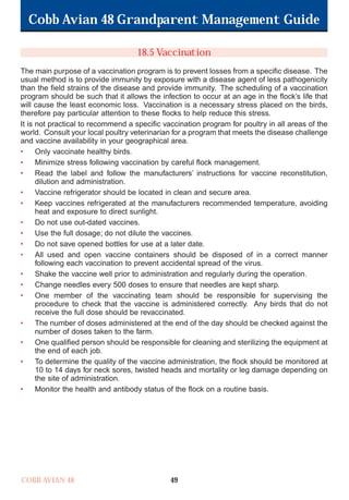 Cobb Avian 48 Grandparent Management Guide
COBB AVIAN 48 49
18.5 Vaccination
The main purpose of a vaccination program is to prevent losses from a specific disease. The
usual method is to provide immunity by exposure with a disease agent of less pathogenicity
than the field strains of the disease and provide immunity. The scheduling of a vaccination
program should be such that it allows the infection to occur at an age in the flock’s life that
will cause the least economic loss. Vaccination is a necessary stress placed on the birds,
therefore pay particular attention to these flocks to help reduce this stress.
It is not practical to recommend a specific vaccination program for poultry in all areas of the
world. Consult your local poultry veterinarian for a program that meets the disease challenge
and vaccine availability in your geographical area.
• Only vaccinate healthy birds.
• Minimize stress following vaccination by careful flock management.
• Read the label and follow the manufacturers’ instructions for vaccine reconstitution,
dilution and administration.
• Vaccine refrigerator should be located in clean and secure area.
• Keep vaccines refrigerated at the manufacturers recommended temperature, avoiding
heat and exposure to direct sunlight.
• Do not use out-dated vaccines.
• Use the full dosage; do not dilute the vaccines.
• Do not save opened bottles for use at a later date.
• All used and open vaccine containers should be disposed of in a correct manner
following each vaccination to prevent accidental spread of the virus.
• Shake the vaccine well prior to administration and regularly during the operation.
• Change needles every 500 doses to ensure that needles are kept sharp.
• One member of the vaccinating team should be responsible for supervising the
procedure to check that the vaccine is administered correctly. Any birds that do not
receive the full dose should be revaccinated.
• The number of doses administered at the end of the day should be checked against the
number of doses taken to the farm.
• One qualified person should be responsible for cleaning and sterilizing the equipment at
the end of each job.
• To determine the quality of the vaccine administration, the flock should be monitored at
10 to 14 days for neck sores, twisted heads and mortality or leg damage depending on
the site of administration.
• Monitor the health and antibody status of the flock on a routine basis.
OK.Avian 48 GP 1/6P 1/19/06 3:20 PM Page 53
 