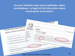 • Use your computer to find:
http://www.OMIM.org and learn more about
nemaline myopathy and the ACTA1 gene that
may be involved.
• After you answer questions on your handout,
search for any human disease that interests
you and examine the information.
13
 