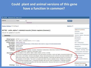 Begin your search on the NCBI portal to find
names of human muscle genes.
Use http://www.ncbi.nlm.nih.gov/ and enter information shown, use the pull- down menu to
select Gene. (Note: Araport.org and similar genome browsers will also allow you to search
for genes and proteins of interest.)
24
 