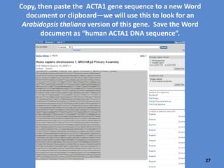 Click on
FASTA to
obtain the
human
ACTA1
gene
sequence.
If it is reasonable that plants might have a gene similar
to human ACTA1, you will need to find the ACTA1 gene
sequence.
27
 