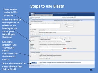 And you’ve already copied and pasted the ACTA1
gene sequence to a Word document or clipboard—we
will use this to look for an Arabidopsis thaliana
version of this gene.
35
 