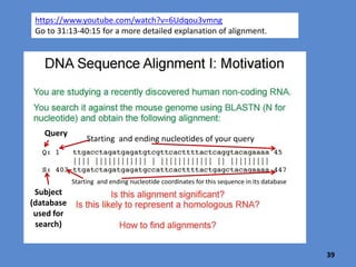 What is gene alignment?
What BLASTn values tell us whether the
alignment is meaningful?
39
 