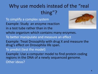 What science models do you recall?
Lipid bilayer model
Lock and key model of enzymes
Stickleback model of evolution
Computer models
Experimental model of osmosis
4
 