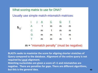 40
https://www.youtube.com/watch?v=6Udqou3vmng
Go to 31:13-40:15 for a more detailed explanation of alignment.
Query
Subject
(database
used for
search)
Starting and ending nucleotides of your query
Starting and ending nucleotide coordinates for this sequence in its database
 