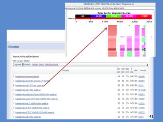 41
BLASTn seeks to maximize the score for aligning shorter stretches of
Query compared to the database. Alignment of the entire query is not
required by Local alignment.
Matching nucleotides are given a score of +1 and mismatches are
negative. There are penalties for gaps. There are different algorithms,
but this is the general idea.
 